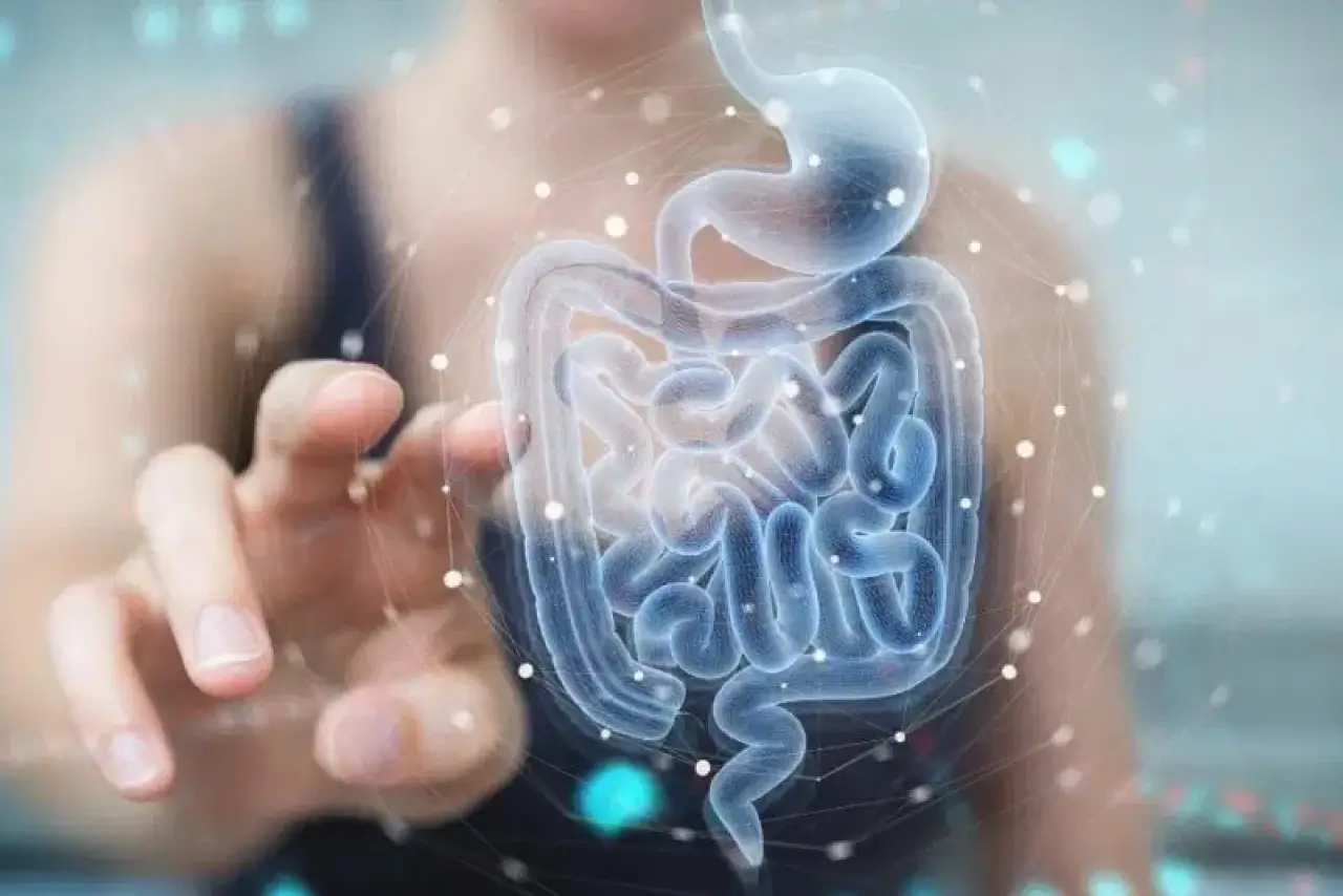 Il microbiota